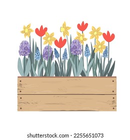 Wooden vintage box with Spring flowers. Tulips, hyacinths, muscari, daffodils. Doodle hand drawn vector illustration isolated on white. Summer garden.