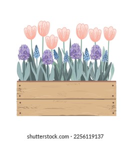 Wooden vintage box with Spring flowers. Tulips, hyacinths, muscari. Doodle hand drawn vector illustration isolated on white. Summer garden