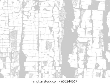 Wooden wall. Wood texture. Fiber and crack