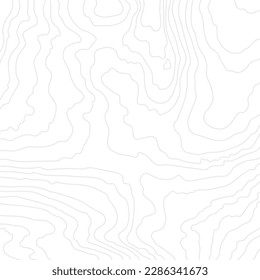 Wooden wavy light gray pattern. Tree fiber, wood grain texture. Dense lines. Abstract topographic white background. Vector illustration