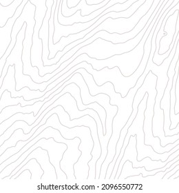 
Wooden wavy pattern. Tree fiber, white wood grain texture. Dense lines. Abstract topographic background. Vector illustration