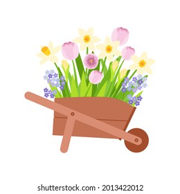 a wooden wheelbarrow filled with garden flowers.  yellow daffodils, pink tulips, lilac forget-me-nots.  vector illustration.