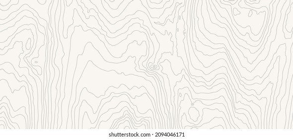 Wooden white wavy pattern. Tree fiber, wood grain texture. Dense lines. Abstract topographic background. Vector illustration
