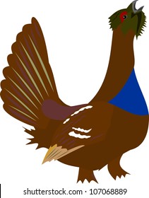 Wood-grouse