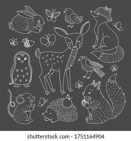 Woodland Animal Clipart Set. Hand Drawn Forest Animals Vector Collection. Wild Animal Outline Illustration