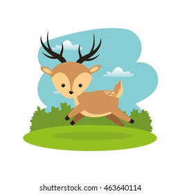 Woodland animal concept represented by cute reindeer cartoon icon. Colorfull and flat illustration. 
