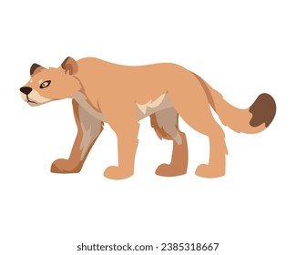 woodland animal cougar illustration design