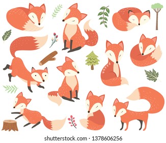 Woodland Animal Fox Elements