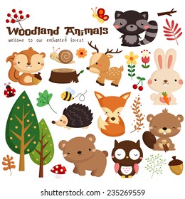 Conjunto de vectores de animales de bosque