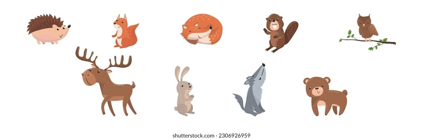 Woodland Animals with Bunny, Elk, Wolf, Bear and Beaver Vector Set