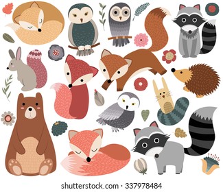 Woodland Animals and Cute Forest Design Elements