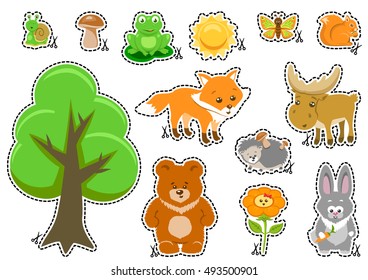 Woodland Animals and Cute Forest Design Elements