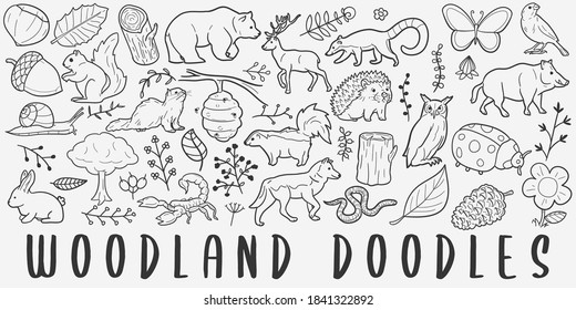 Woodland Animals doodle icon set. Fauna Vector illustration collection. Banner Hand drawn Line art style.