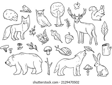 Woodland Animals Forest Doodle Icons Sketch. Hand Drawn line art Vector. Isolated on white