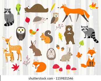 woodland animals illustration,autumn forest