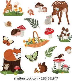 Woodland Animals and Mushrooms Illustration Set.