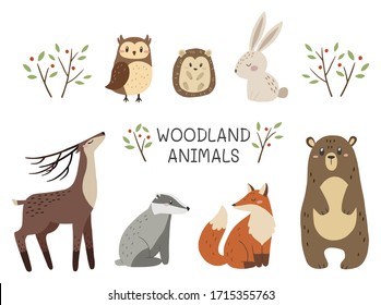 Woodland Animals. Set Of Cute Forest Animals. Vector Illustration.