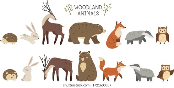Woodland animals. Set of cute forest animals. Vector illustration.