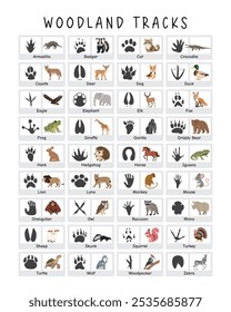 Woodland Animals Tracks Field Guide: Cartaz educativo com Woodland Animals Pegadas para crianças. Decoração de sala de aula pré-escolar, Montessori Poster, Decoração de sala de jogos para crianças 