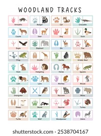 Wald Tiere Spuren Field Guide: Weiche Farbe Bildungsposter mit Wald Tiere Fußabdrücke für Kinder. Illustrierter Feldführer Poster mit Waldtierspuren und Arten