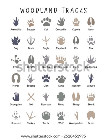 Similar – Image, Stock Photo Animal tracks in the snow