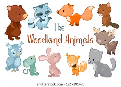 Woodland animals vector clipart on white background. Cute vector illustrations of bear, beaver, fox, rabbit, deer. Colorful wild animal sticker. Children or nursery logo. Baby zoo icon. Forest nature