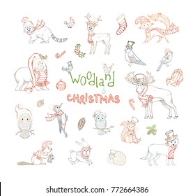 Woodland Christmas set. Vector set of forest animals dressed in Santa hat and winter scarf. Coloured contours of moose, bear, fox, wolf, deer, owl, hare, squirrel, raccoon, hedgehog and birds.