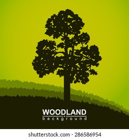  Woodland eco banner. Can be used as poster, badge, wallpaper, backdrop, background, icon, sign. Green tones.