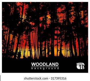  Woodland eco banner. Fire in forest. Can be used as poster, badge, wallpaper, backdrop, background. Eps 10.