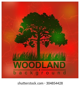  Woodland eco banner. Green and red tones. Can be used as poster, badge, wallpaper, backdrop, background, icon, sign.