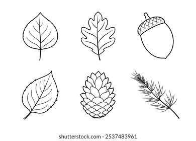 Woodland Flora Line Art Bundle - Pine Tree Branch, Acorn, Folha de Carvalho, Birch Leaf, e mais