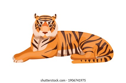 Woodland forest animals. Adult big tiger wildlife Ussurian tiger cartoon flat vector