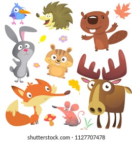 Woodland forest animals birds collection including bird, hedgehog, beaver, bunny rabbit, chipmunk, fox, mouse and moose elk. Autumn leaves and plants. Cartoon vector illustration