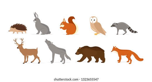 Woodland forest animals birds collection including deer, bear, owl, squirrel,  hedgehog, rabbit, fox and wolf. 