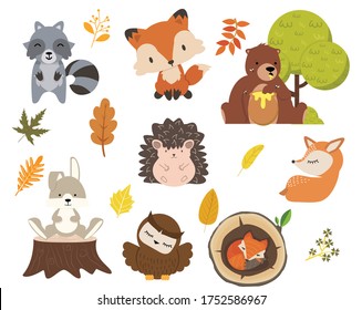 woodland forest animals character set