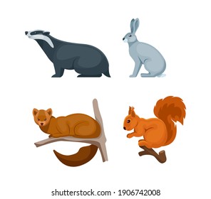 Animales forestales de bosques. Insignia de animales salvajes, liebre, ardilla, vector de dibujos animados plana estable