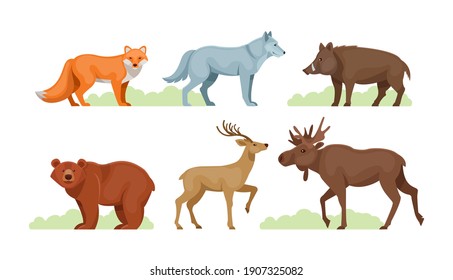 Woodland forest animals. Cute wild forest animals fox, wolf, wild boar, brown bear, elk, deer flat cartoon vector