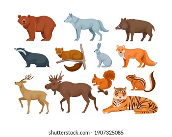 Woodland forest animals. Cute wild forest animals deer, wolf, brown bear, common fox, badger, sable, chipmunk, ussuri tiger, rabbit, hare, elk, wild boar, squirrel flat cartoon vector