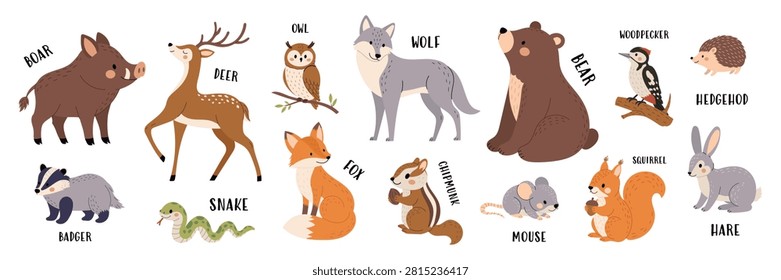 Woodland forest animals set with bear, fox, wolf, deer, owl, squirrel, rabbit, badger, hedgehog, wild boar, woodpecker and snake. Cute hand drawn flat vector illustration isolated on white background.