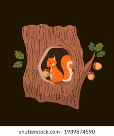 Woodland or Forest creatures poster design with squirrel in a hole in a hollow tree at night with a store of acorns, colored vector illustration