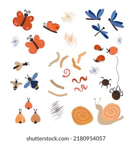 Woodland insects vector set isolated on white background