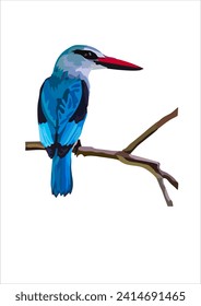 Woodland Kingfisher is a tree kingfisher that is widely distributed in Africa south of the Sahara.The call of this noisy kingfisher is a loud trill sounding like a nail run down the teeth of a comb.