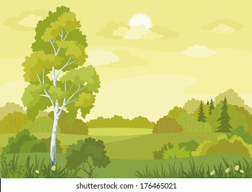 Woodland landscape with birch, fir trees and flowers. Vector