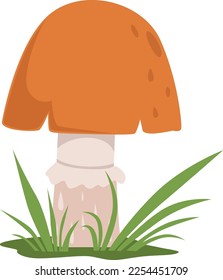 Woodland nature element. Cap ringed cartoon mushroom