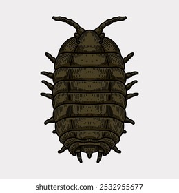 Woodlice colored hand drawn illustration artwork