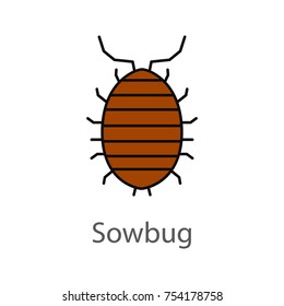 Woodlouse color icon. Roll up bug. Sowbug. Isolated vector illustration