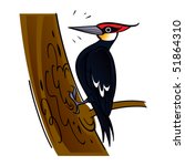 Woodpecker