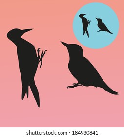Woodpecker