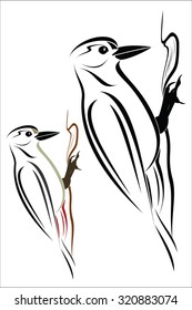 Woodpecker