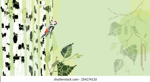Woodpecker in a birch forest composition with copy space